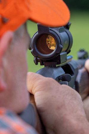 Den Mufflons geht es an den Kragen.