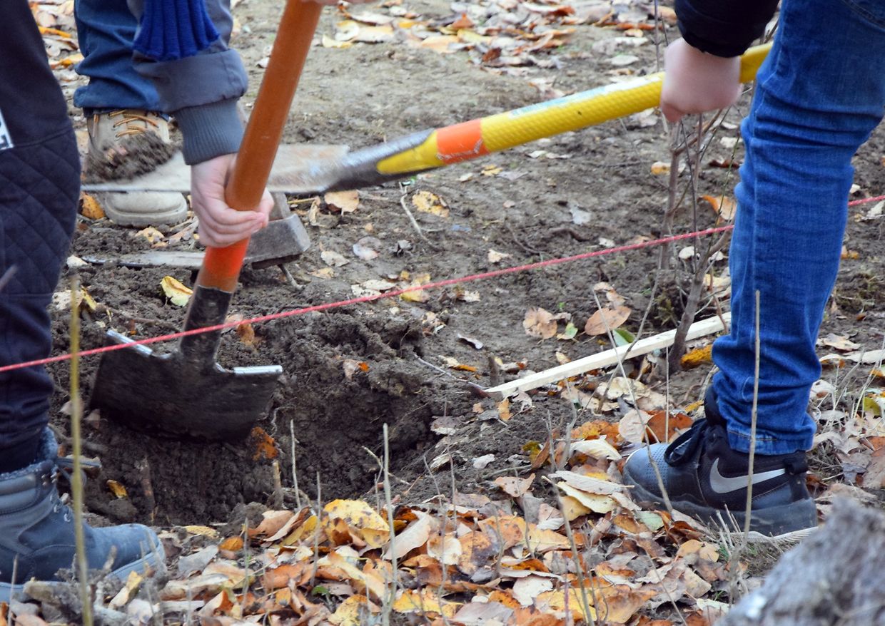 Dag vum Bam 2018 Baschleiden - An Aktioun - Photo: Y. Krippel