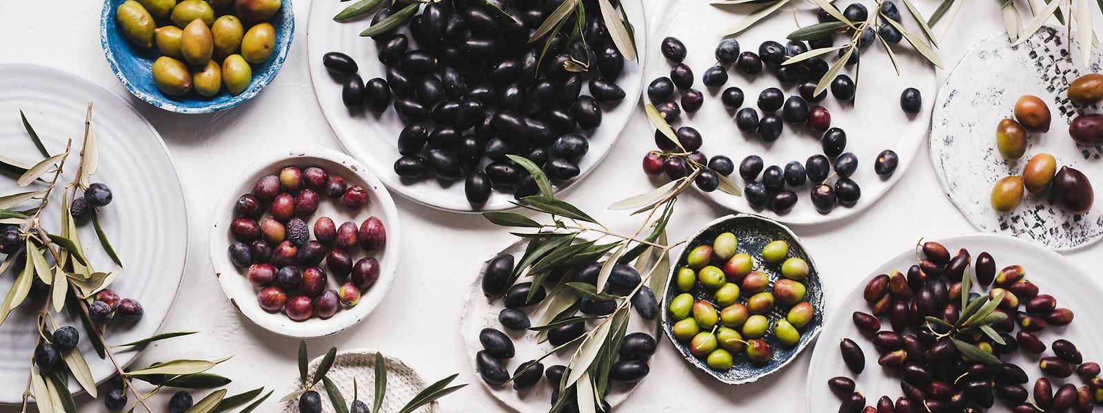 In Oliven sind viele verschiedene Polyphenole enthalten, deren Kombination eine hohe antioxidative Wirkung entfaltet. 