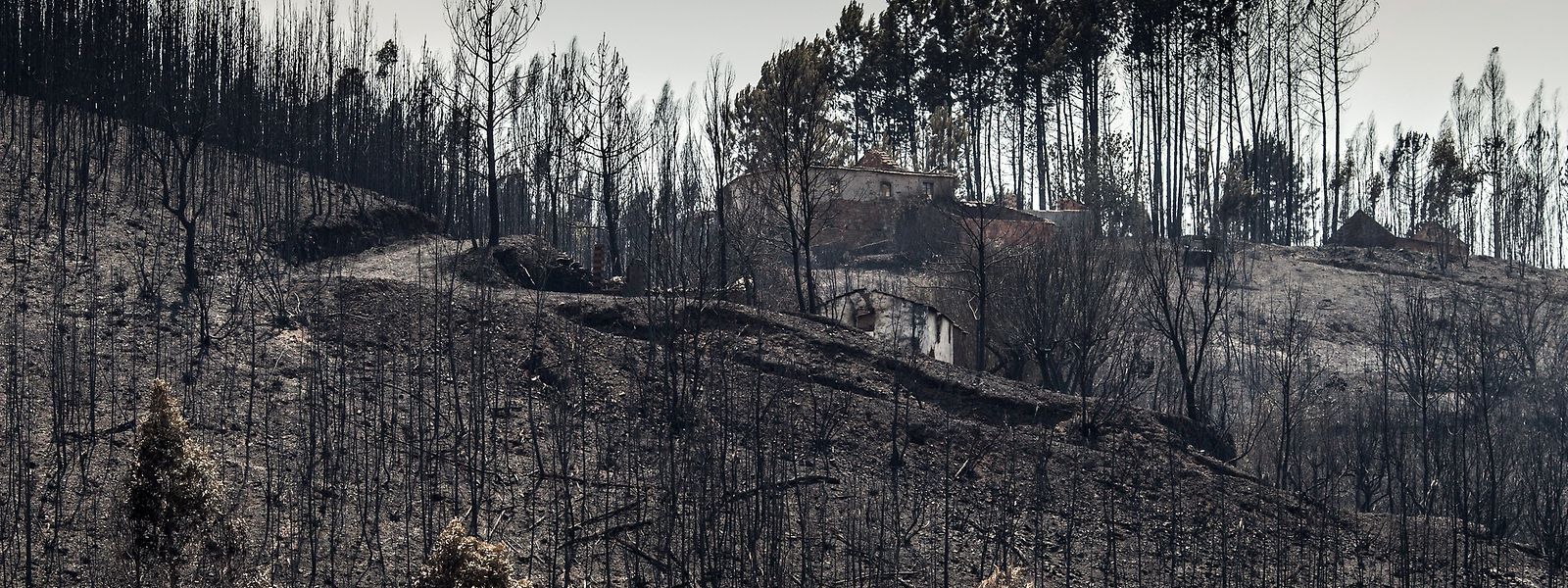 Aldeia de Mosteiro, em Pedrógão Grande, depois dos incêndios que causaram a morte de pelo menos 66 pessoas, em junho de 2017.