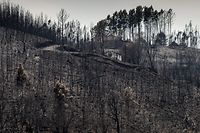 Aldeia de Mosteiro, em Pedrógão Grande, depois dos incêndios que causaram a morte de pelo menos 66 pessoas, em junho de 2017.