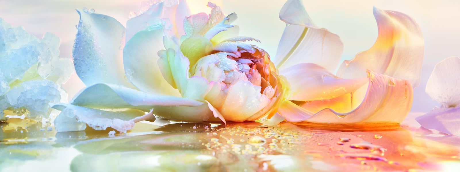Die neue "J'adore"-Variante weckt Bilder einer imaginativen "Fleur de Sel".