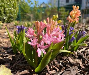 Les incontournables du printemps