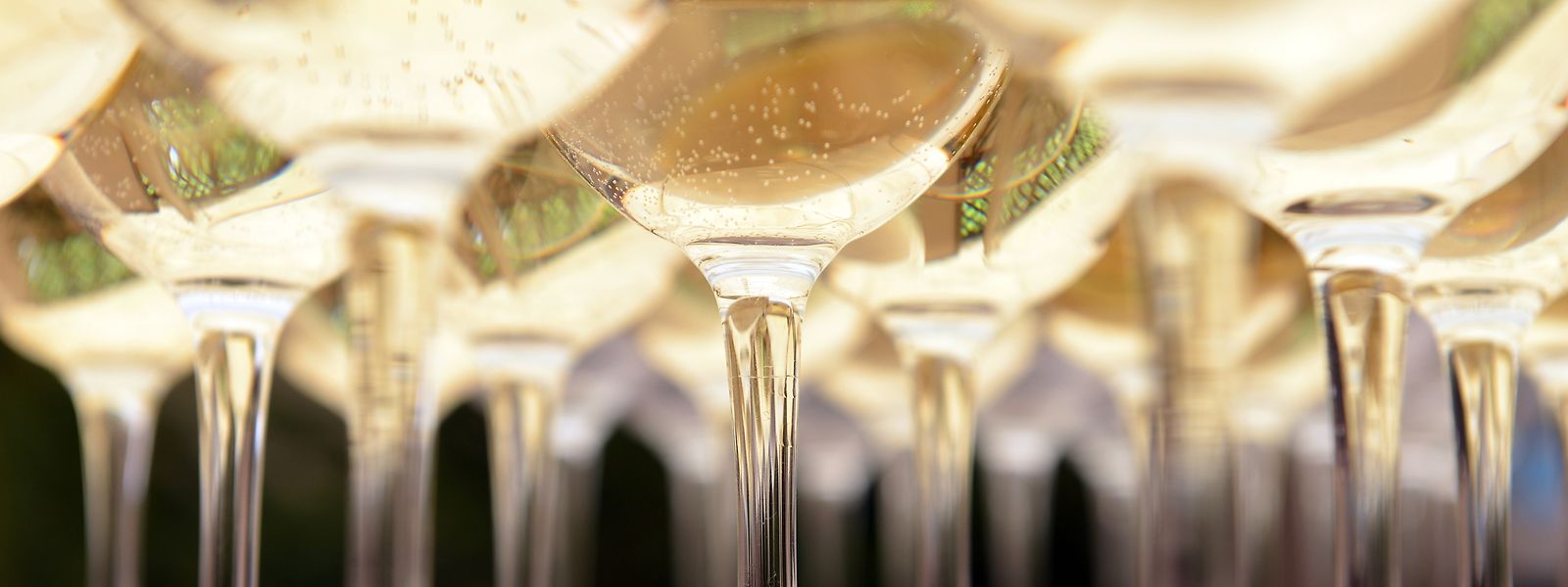 Champagner und andere Schaumweine werden heute in breiteren Gläsern serviert.