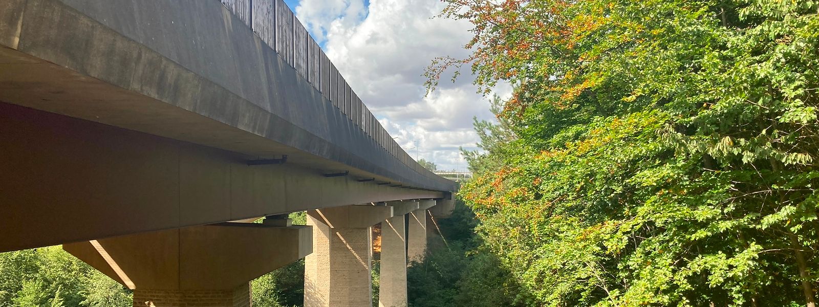 Der Viaduc de la Drisbach führt über den Minesbësch. Die Überführung ist 224 Meter lang und 34 Meter hoch. 