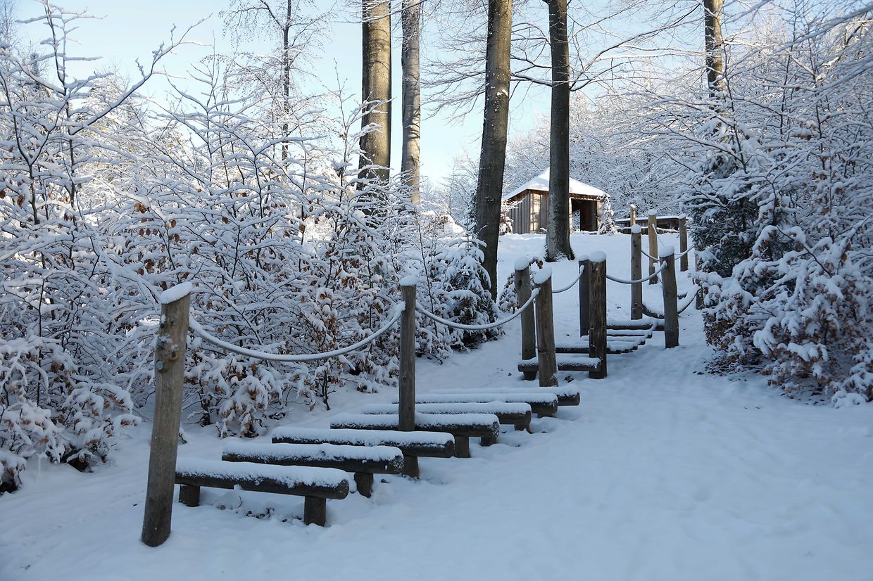 Illustration, Schnee, Winter, Winterlandschaft, Foto: Anouk Antony/Luxemburger Wort