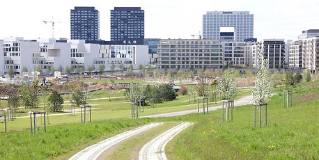 Largest park in Luxembourg City to open in June - Vimarsana News