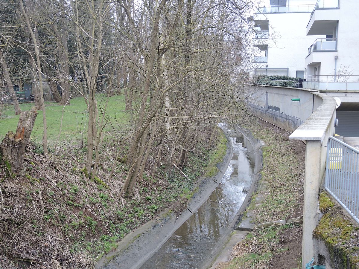 So sieht die Dipbech derzeit noch an den meisten Stellen aus. Als Kanal, wie hier im Stadtteil Lallingen.
