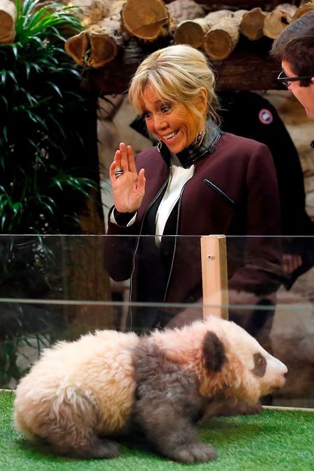 Brigitte Macron ließ sich während der Taufe - im Gegensatz zum kleinen Bären - nicht aus der Fassung bringen.
