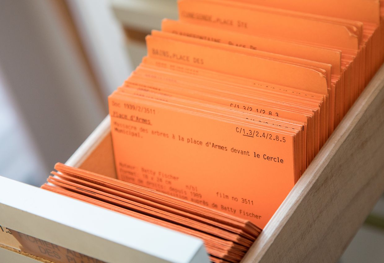 Les visiteurs peuvent effectuer leurs propres recherches