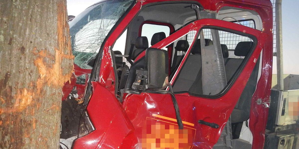 Der Lieferwagen geriet mit der linken Vorderseite gegen einen Baum.