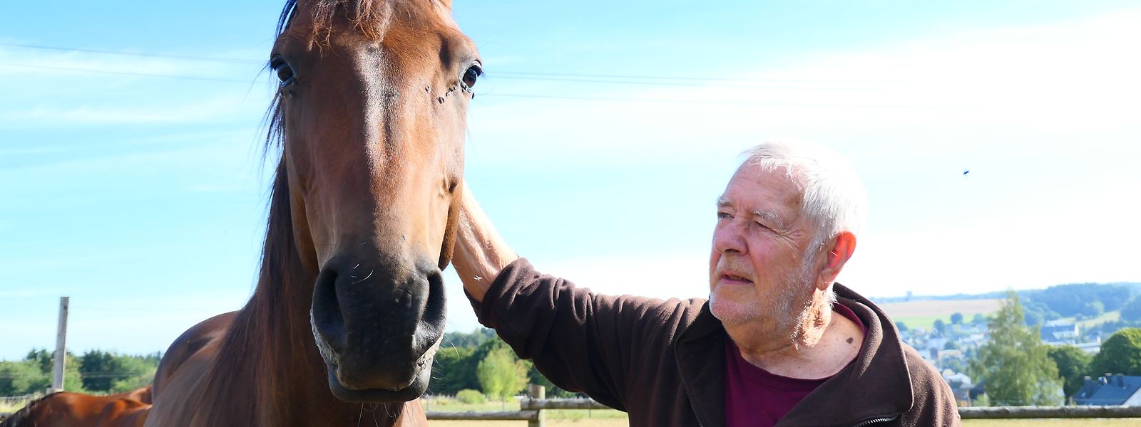 Pferde gehören beruflich wie privat zu John Weis' Lieblingstieren. Berater des nationalen Zuchtverbands für Kleinpferde und Spezialrassen ist er immer noch. 