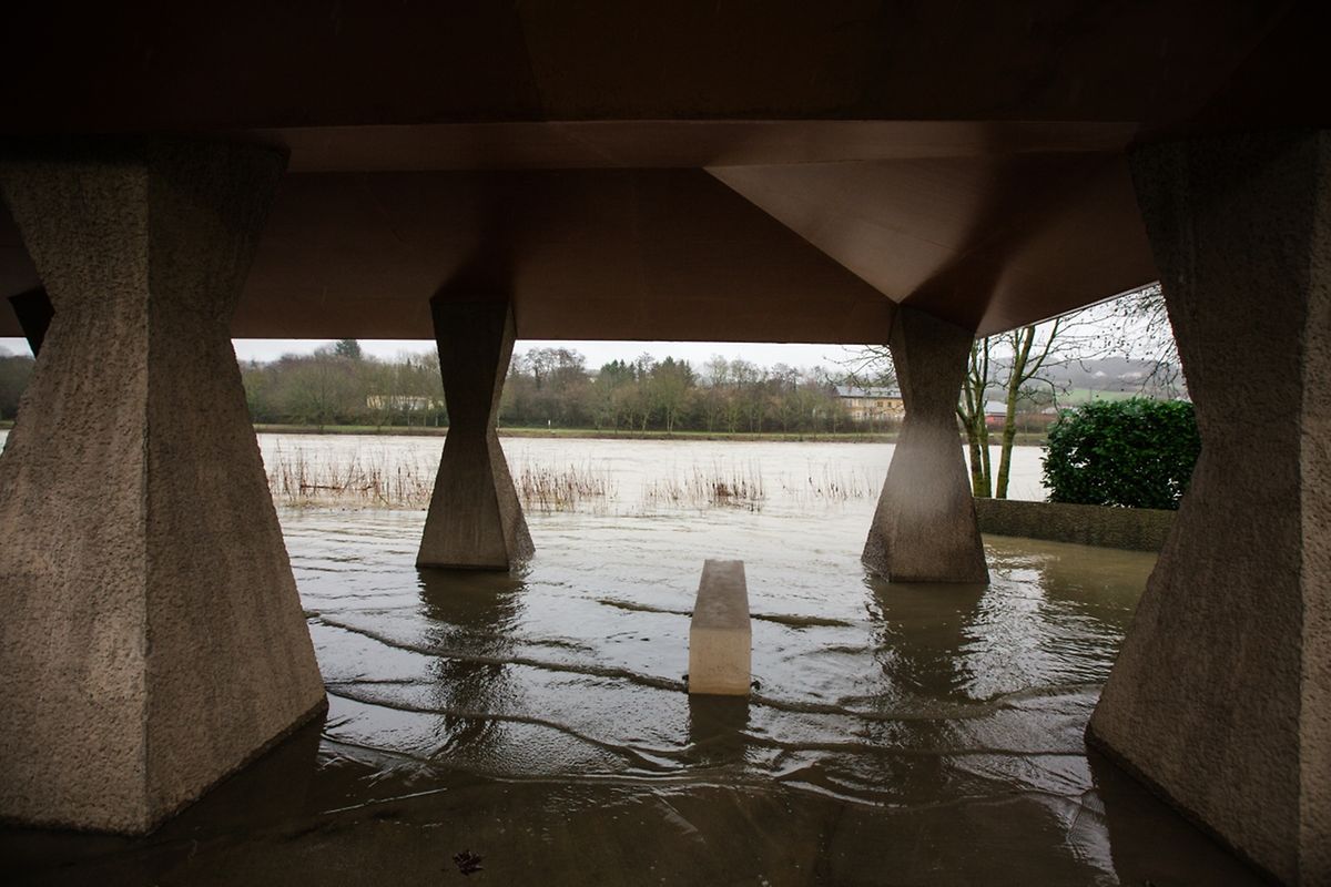 Hochwasser an der Mosel am Donnerstagmorgen.