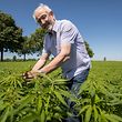 Lokales, Cannad’Our, einziger Lieferant von Cannabis in Luxemburg, Norbert Eilenbecker, Foto: Lex Kleren/Luxemburger Wort