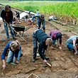 Eine Gruppe von Niederländern hilft bei den Ausgrabungen an der römischen Villa im Miecher Wald. 