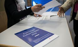 Europawahlen Luxemburg, Foto: Guy Wolff/Luxemburger Wort