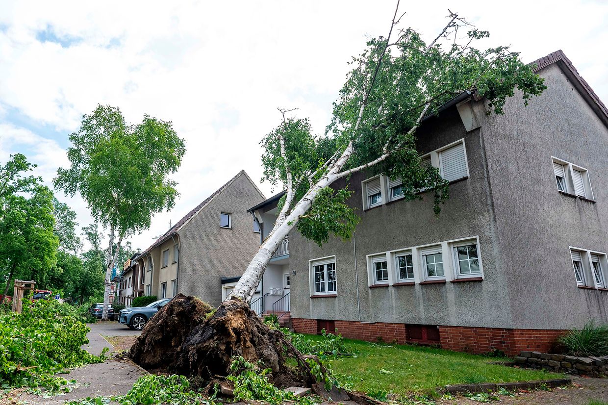 Ein Baum ist umgestürzt und auf das Dach eines Hauses gefallen. Einen Tag nach dem Tornado haben in Lippstadt die Aufräumarbeiten begonnen. 