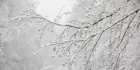 Sleet and snow disrupts life in Luxembourg on Wednesday - Vimarsana News