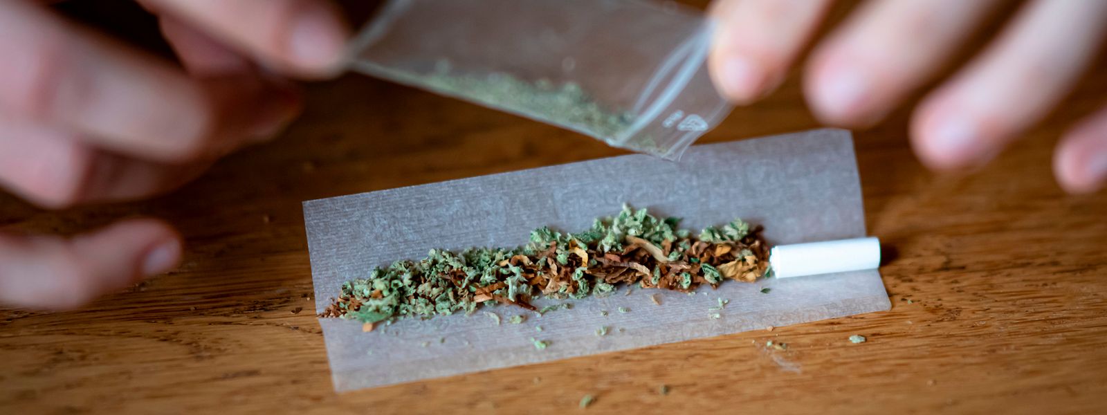 Die Befürworter einer Legalisierung des Anbaus von Cannabis hatten im Herbst 2021 innerhalb weniger Tage mehr als 600.000 Unterschriften für das Referendum gesammelt. 