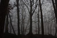 Nas florestas do Grão-Ducado vivem fantasmas de lavadeiras, anões de coração partido e lobisomens.