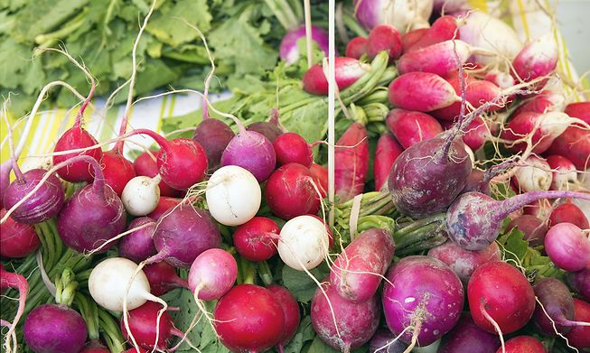 Start seeding your radish now, and you may eat them at the end of the month