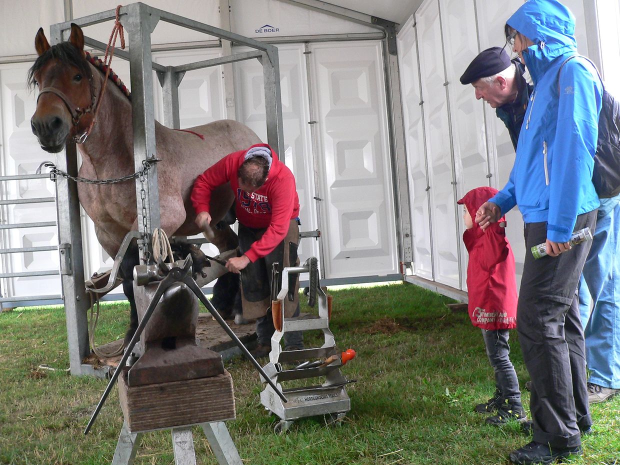 Die "Foire agricole" wusste den Regen am Samstag bereits mit einem abwechslungsreichen Show-Programm zur Nebensache werden zu lassen.