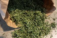 L'objectif poursuivi par le législateur n'est pas de normaliser ou de banaliser la consommation de cannabis, mais d'en encadrer la consommation et la vente 