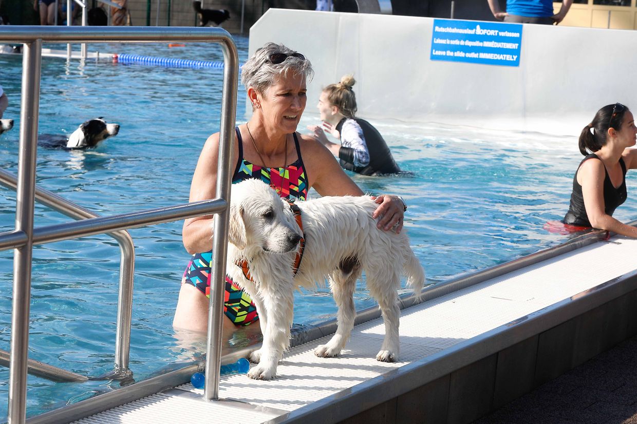 Lokales, Aqua Park, Schwimmbad, Hundeschwimmen, Badespass Foto: Luxemburger Wort/Anouk Antony