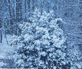 Processed with VSCO with ss1 preset