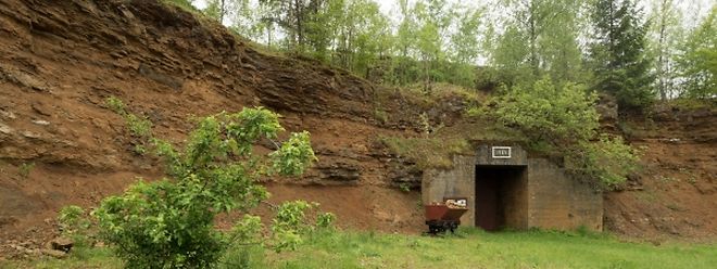 Der "Giele Botter" könnte in Zukunft mit dem Unesco-Label „Der Mensch und die Biosphäre“ ausgezeichnet werden.