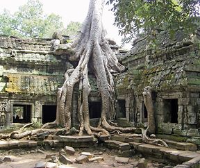 SAMSUNG DIGITAL CAMERA