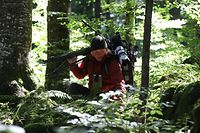 Andreas Kieling folgt der Fährte eines Braunbären in den Wäldern Sloweniens.