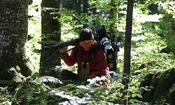Andreas Kieling folgt der Fährte eines Braunbären in den Wäldern Sloweniens.