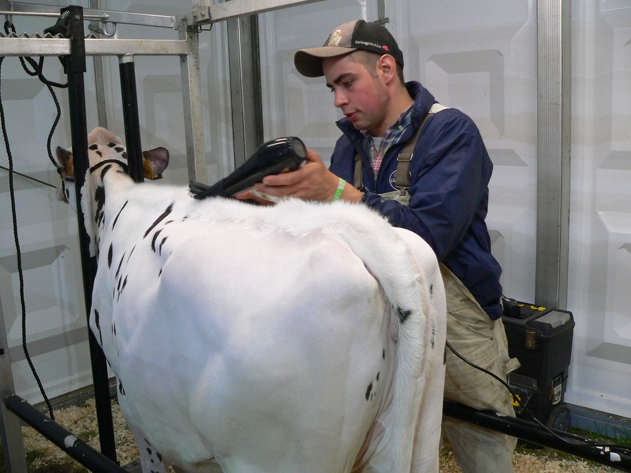 Die "Foire agricole" wusste den Regen am Samstag bereits mit einem abwechslungsreichen Show-Programm zur Nebensache werden zu lassen.