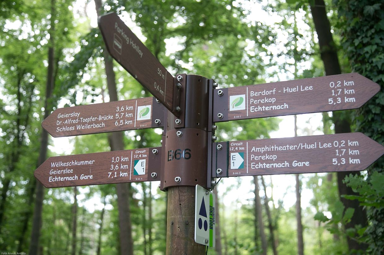 4.6.2018 Luxembourg, Berdorf, erdrutsch nach Hochwasser photo Anouk Antony