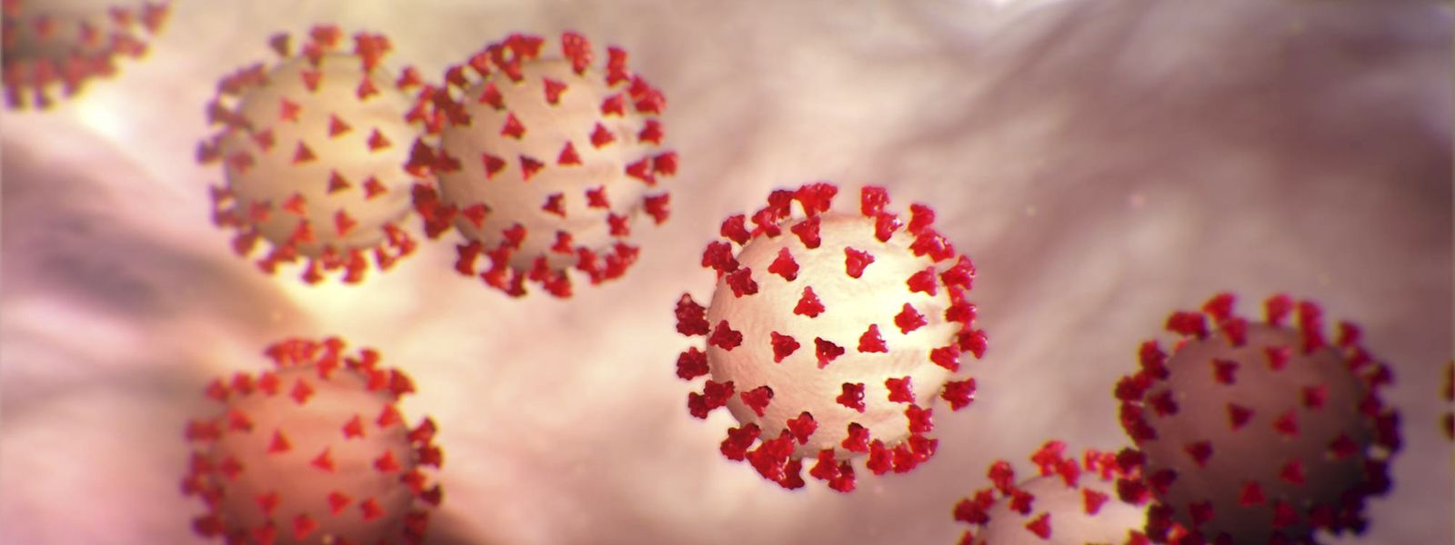 Plusieurs pistes de traitements sont à l'étude contre le nouveau coronavirus qui a émergé en Chine et pour lequel aucune thérapie n'a encore fait ses preuves.
