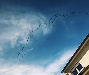 Processed with VSCO with g3 preset