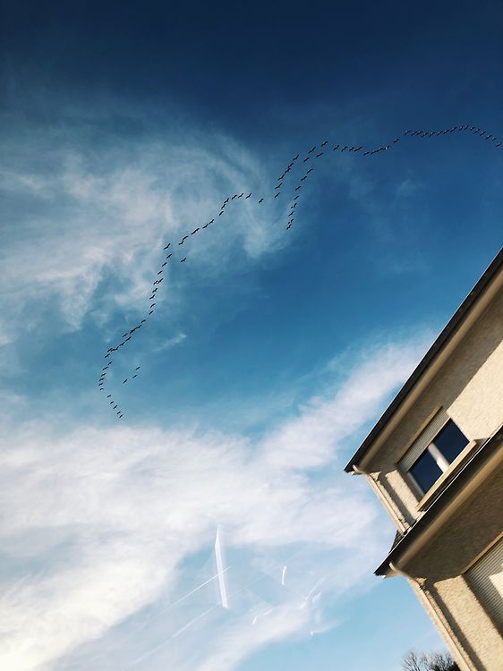 Processed with VSCO with g3 preset