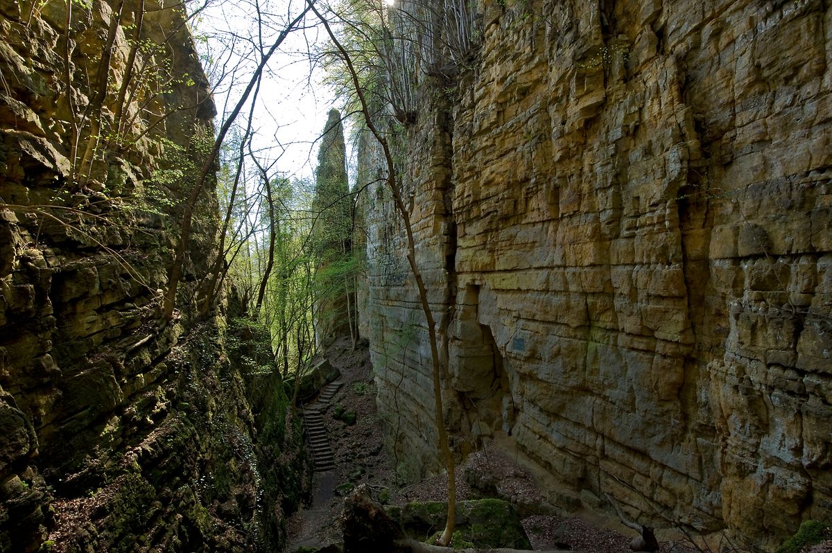 L'"aiguille de Cléopâtre", une épingle rocheuse ressemblant à un obélisque, à l'entrée des gorges du loup.