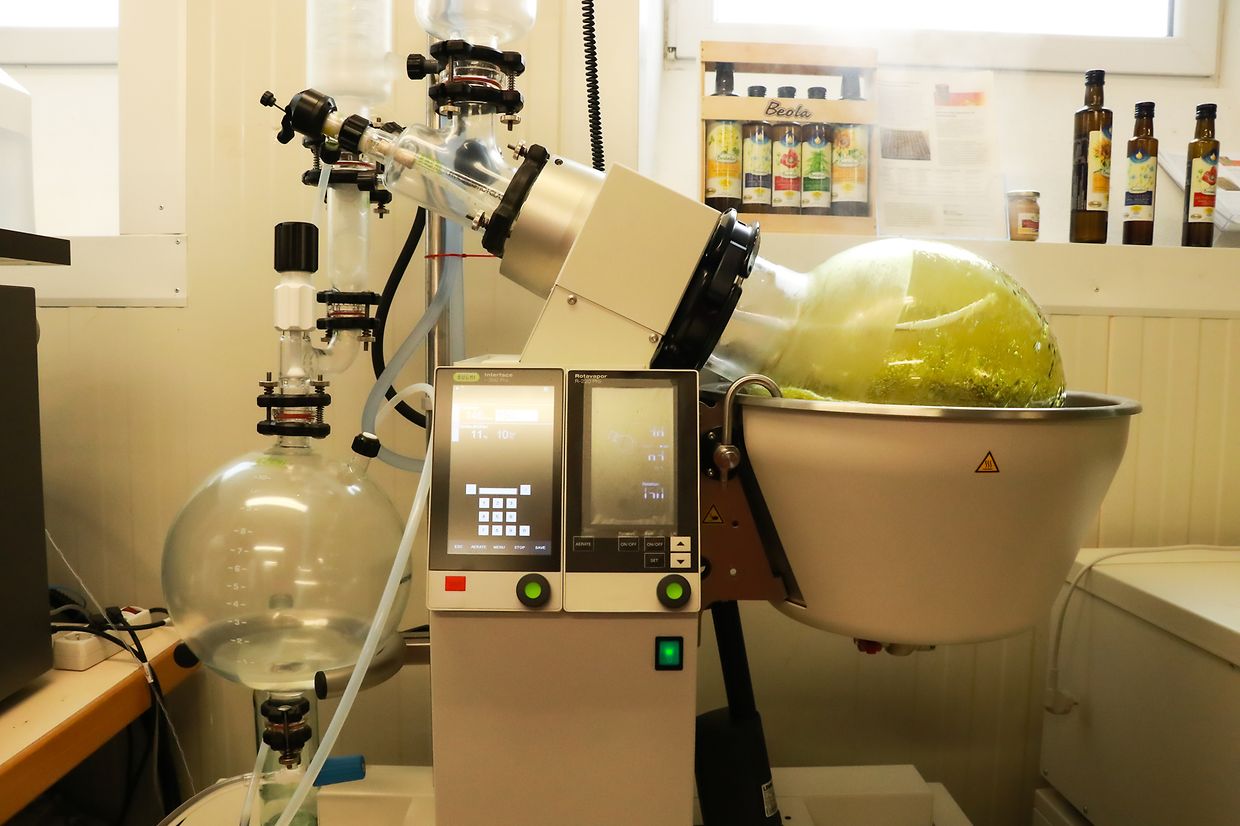 Le chanvre est distillé avec de l'alcool: c'est à Norbert et ses cultivateurs de régler la variation de cannabis et «ThC» dans leurs huiles.