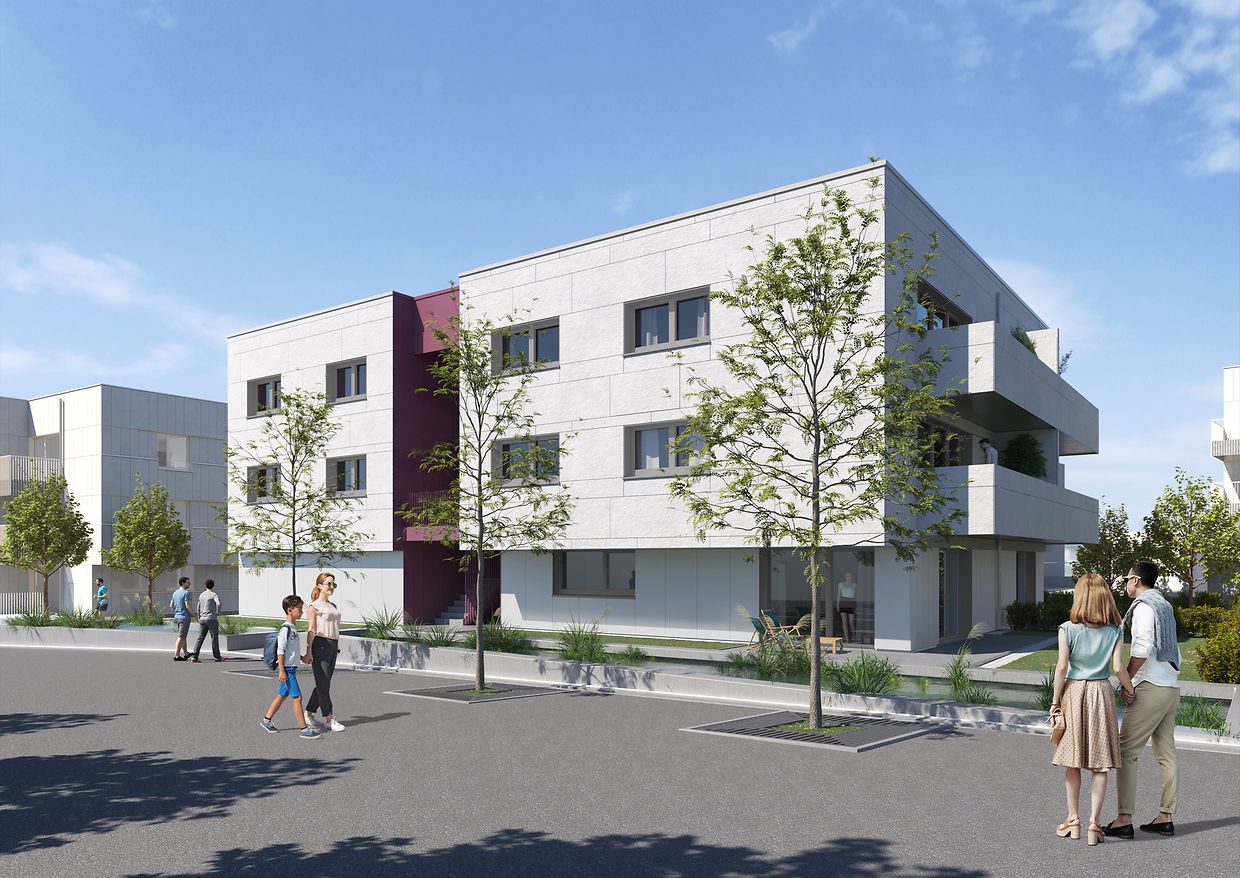 Snhbm Wohnungsbau Mit Weitsicht