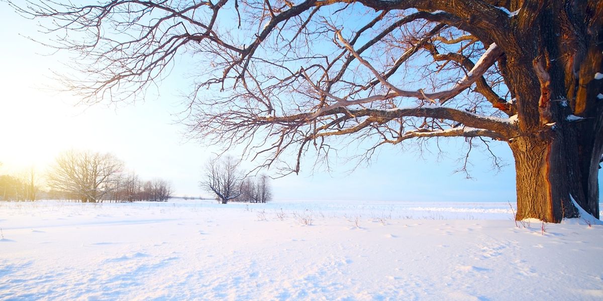 Ab Freitag dürfte der Schnee spätestens liegen bleiben.
