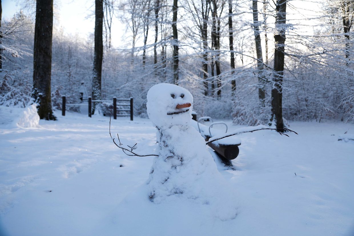 Illustration, Schnee, Winter, Winterlandschaft, Foto: Anouk Antony/Luxemburger Wort