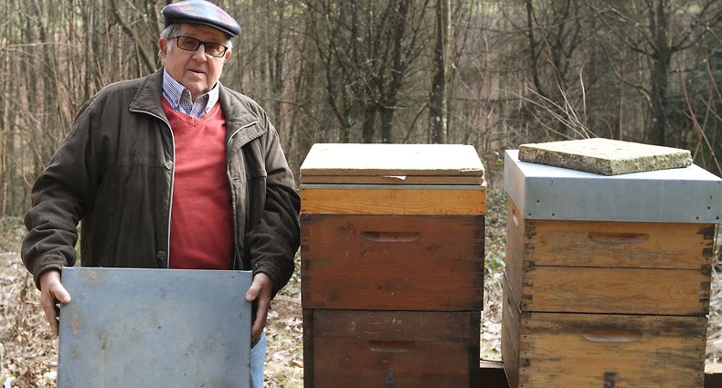 Der begeisterte Imker Pierre Meyer wurde von der Stadt Diekirch für seine langjährigen Verdienste um die Bienenzucht mit dem Umweltpreis ausgezeichne / Foto: Arlette SCHMIT-THIERING