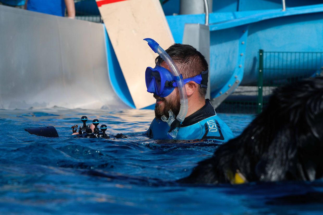 Lokales, Aqua Park, Schwimmbad, Hundeschwimmen, Badespass Foto: Luxemburger Wort/Anouk Antony