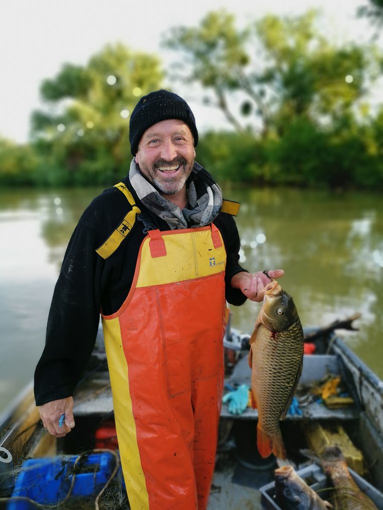 Fischereimeister Paul Lachenmeir mit einem fangfrischen Karpfen.