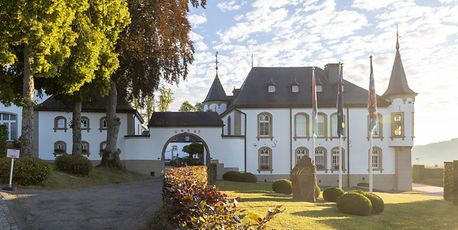 Locals wonder: does Ardennes hotel need a helipad? - Vimarsana News