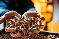 As 'pellets' são uma fonte de energia renovável e o seu custo aumentou muito desde o ano passado.