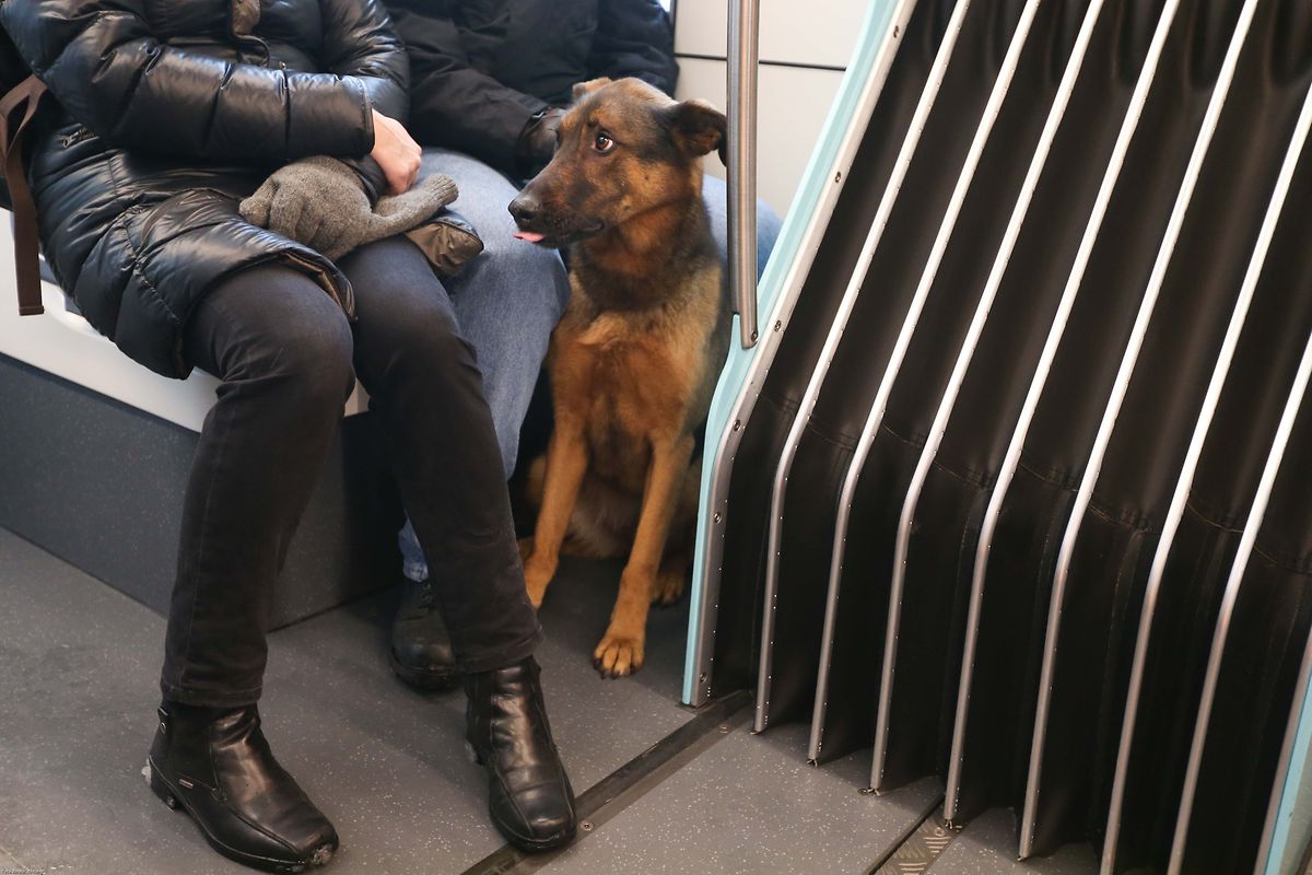 10.12.2017 Luxembourg, Kirchberg, Einweihung Tram, Tramsschienen, Mobilitéit , CFL, photo Anouk Antony