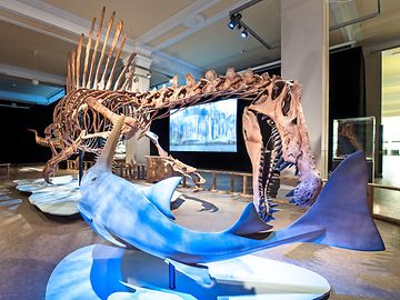 Treffen der Giganten : Größter Raubsaurier begegnet T.rex